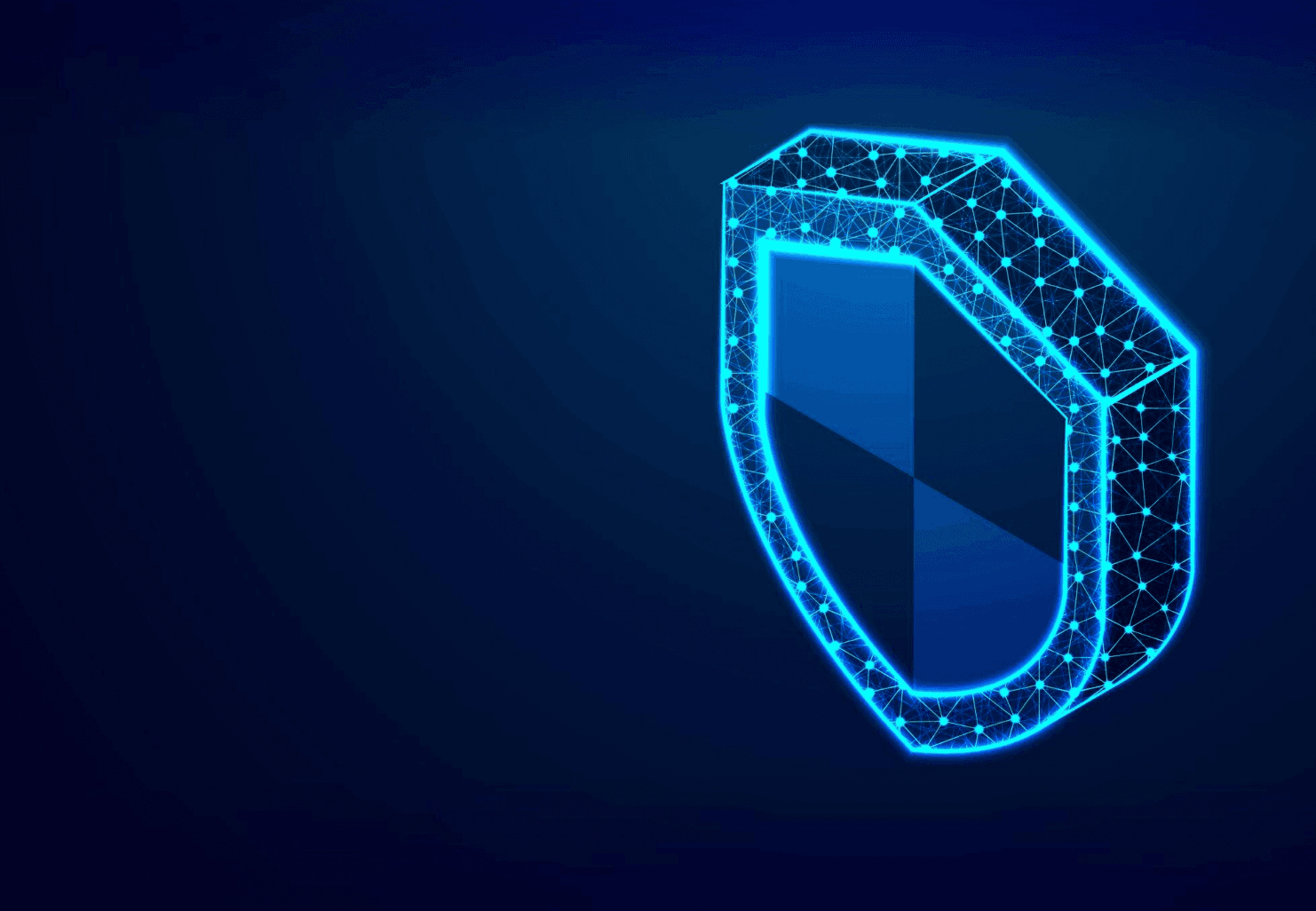 Data Protection & Cyber Resilience