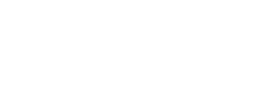 Dell Technologies Platinum Partner